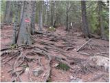 Pri Jalnu / Fusine Laghi - Peč (Tromeja)